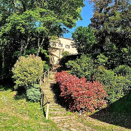 Palazzo Viviani - Castello Di Montegridolfo Hotel